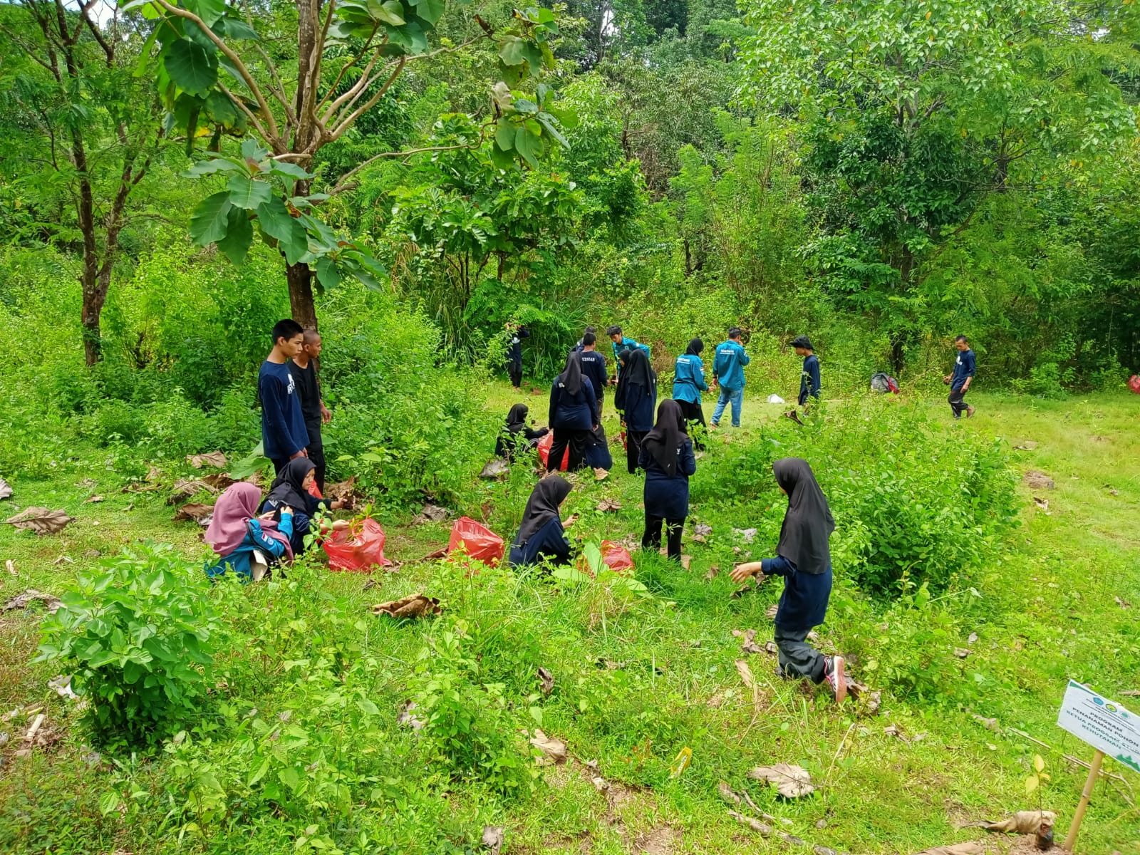Gallery image 1 from Fieldwork