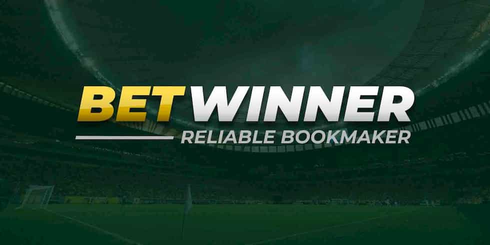Discover Excitement and Opportunities at BetWinner Casino