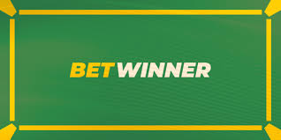 Everything You Need to Know About BetWinner Bookmaker